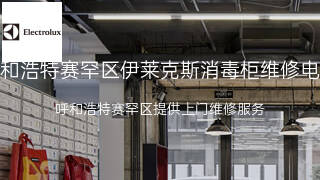伊莱克斯