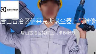 伊莱克斯