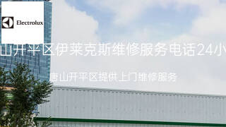 伊莱克斯