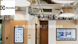伊莱克斯