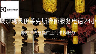 伊莱克斯