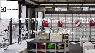 伊莱克斯