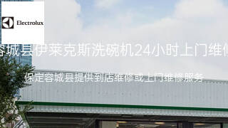 伊莱克斯