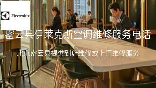 伊莱克斯