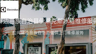 伊莱克斯