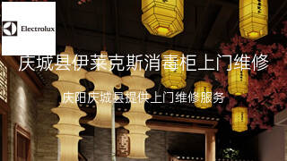 伊莱克斯