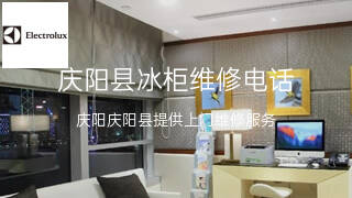 伊莱克斯