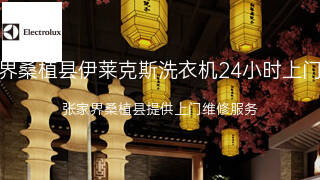 伊莱克斯