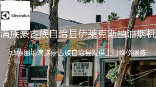 伊莱克斯