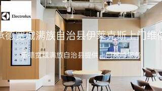 伊莱克斯