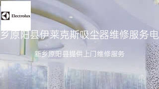 伊莱克斯