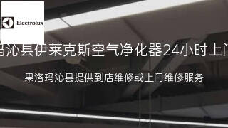 伊莱克斯