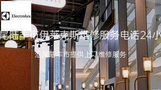 伊莱克斯