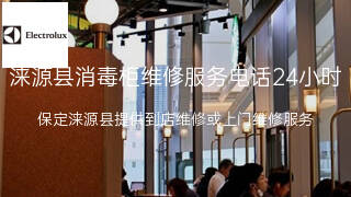 伊莱克斯