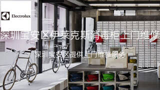 伊莱克斯