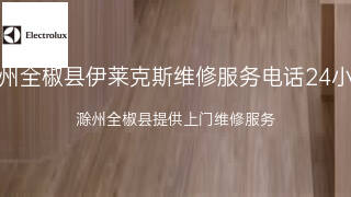 伊莱克斯