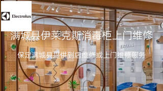 伊莱克斯