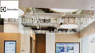 伊莱克斯