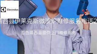 伊莱克斯