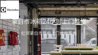 伊莱克斯