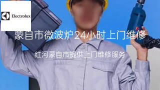 伊莱克斯