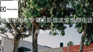 伊莱克斯