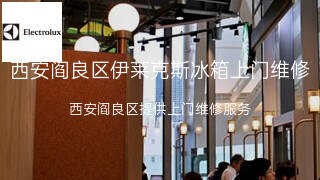 伊莱克斯