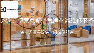 伊莱克斯