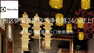 伊莱克斯