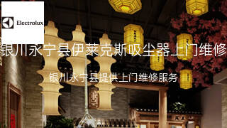 伊莱克斯