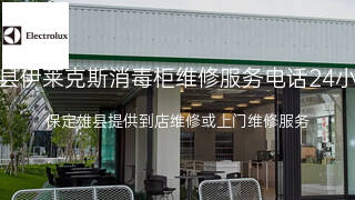 伊莱克斯