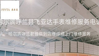 飞亚达