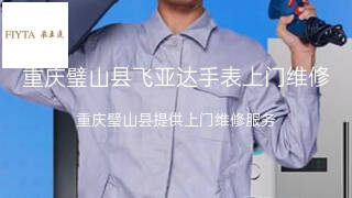 飞亚达