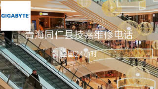 技嘉