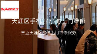 金立