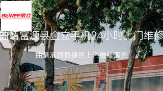 金立