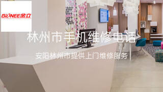 金立
