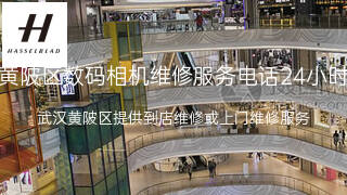 哈苏