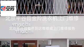 金羚