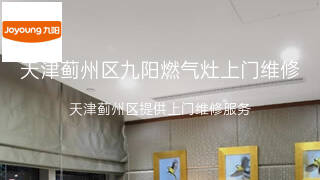 九阳
