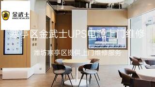 金武士