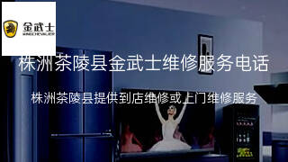 金武士