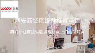 统帅