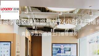 统帅