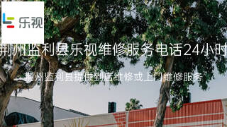 乐视