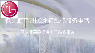 LG