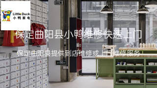 小鸭