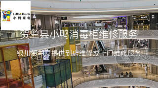 小鸭