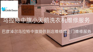 小天鹅