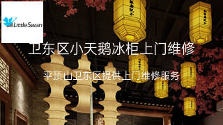 小天鹅